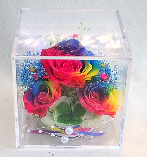 Amazon｜四葉のクローバー＆虹色の薔薇 レインボーローズ3輪